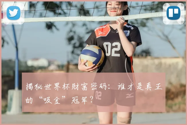 揭秘世界杯财富密码：谁才是真正的“吸金”冠军？