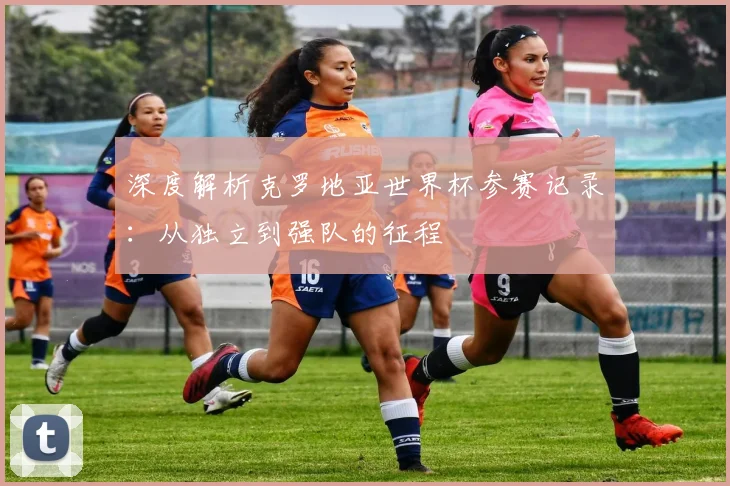 深度解析克罗地亚世界杯参赛记录:从独立到强队的征程